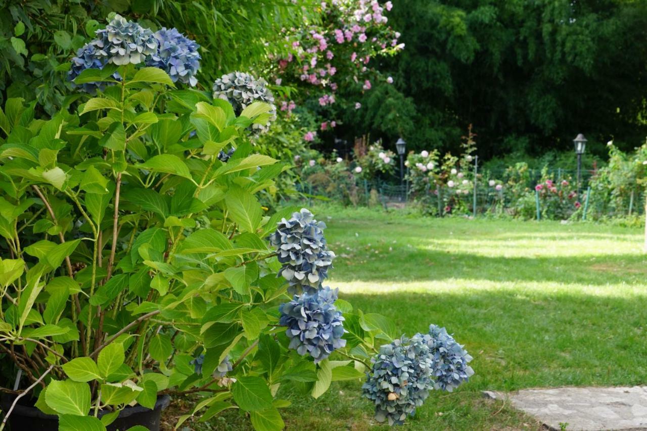 Le Moulin De La Planche Bed & Breakfast Cerelles Exterior foto