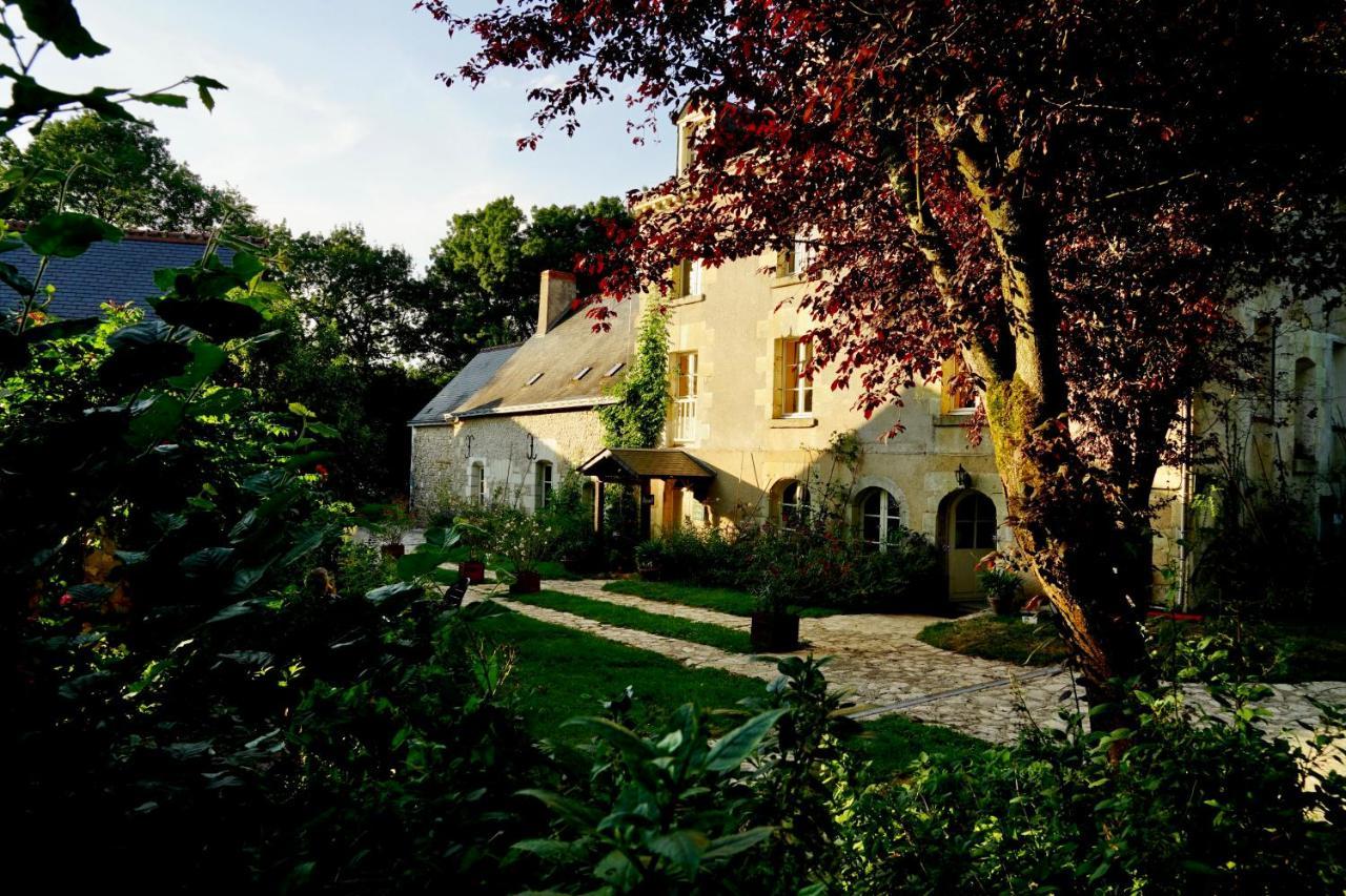 Le Moulin De La Planche Bed & Breakfast Cerelles Exterior foto