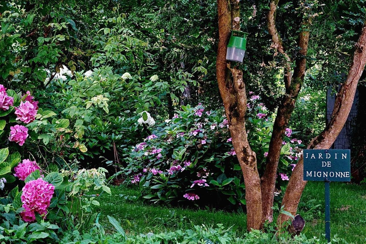 Le Moulin De La Planche Bed & Breakfast Cerelles Exterior foto